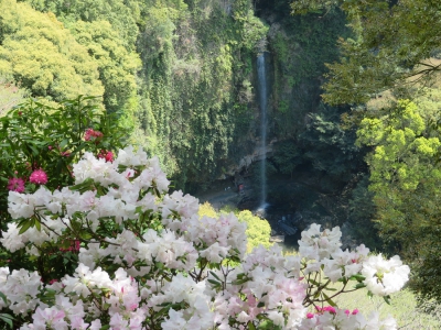裏見の滝自然花苑