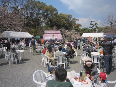 벚꽃 축제