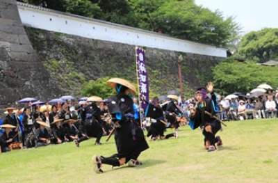 Japanese Iris Festival