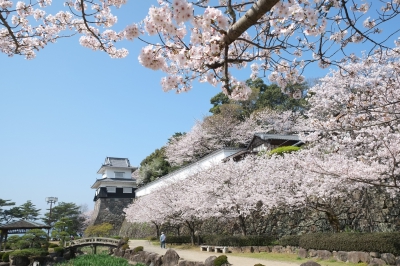 長崎県大村市で3月25日から6月20日まで行われる花の祭典です。大村公園は桜の名所だけでなく、約30万本の花菖蒲が咲き誇る九州最大規模の花菖蒲園、アジサイと途切れることなく訪れる人々の目を楽しませてくれます。
